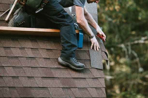 Best Metal Roofing Contractor  in Carson City, NV